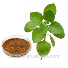 Alta Qualidade 100% Natural Orgânica Orgânica Oregano Leaf Extract Em Pó